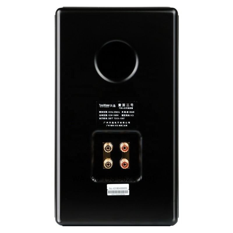 Głośnik Hi-Fi Półkowy 1.1 Calo – Bookshelf recenzja i cena
